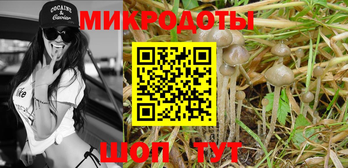 Псилоцибиновые грибы MAGIC MUSHROOMS  Вход с VPN  где продают наркотики  Псилоцибиновые грибы ЛСД  Зеленокумск 