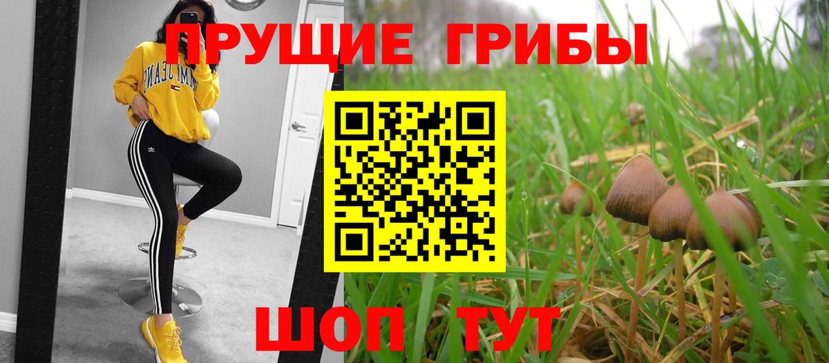 Галлюциногенные грибы Magic Shrooms Зеленокумск